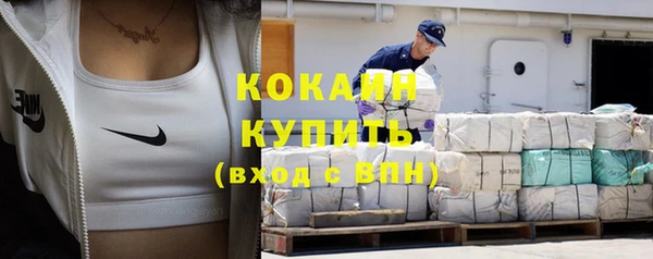 дживик Чегем
