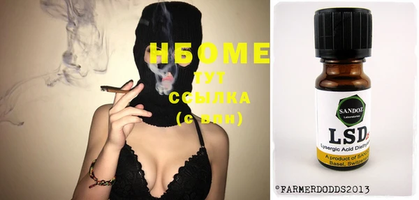 дживик Чегем