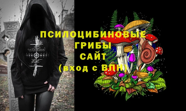 герыч Чекалин