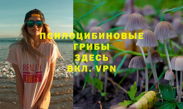 apvp Чердынь