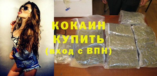 дживик Чегем