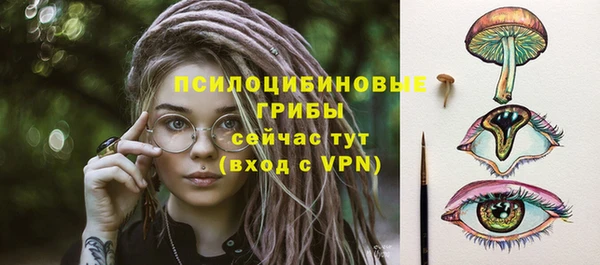apvp Чердынь