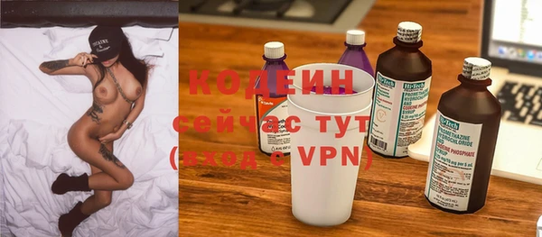 дживик Чегем