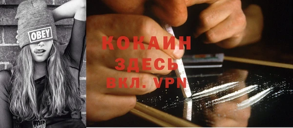 дживик Чегем