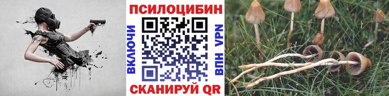 Галлюциногенные грибы Cubensis  shop наркотические препараты  Новомосковск  цены наркотик 